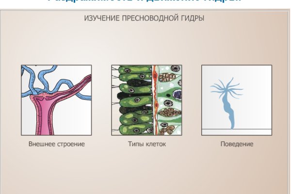 Как восстановить аккаунт в кракен