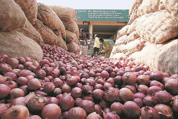 Kraken onion darknet zerkalo