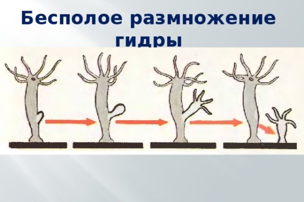 Kraken наркошоп