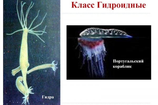 Kra10.at